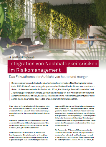 Integration von Nachhaltigkeitsrisiken im Risikomanagement